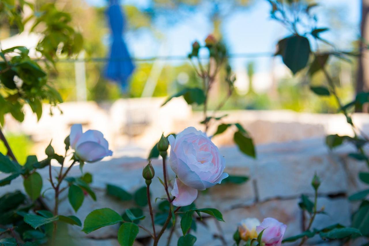 Bed and Breakfast Borgo Dei Lecci Puglia Сельва-ді-Фазано Екстер'єр фото